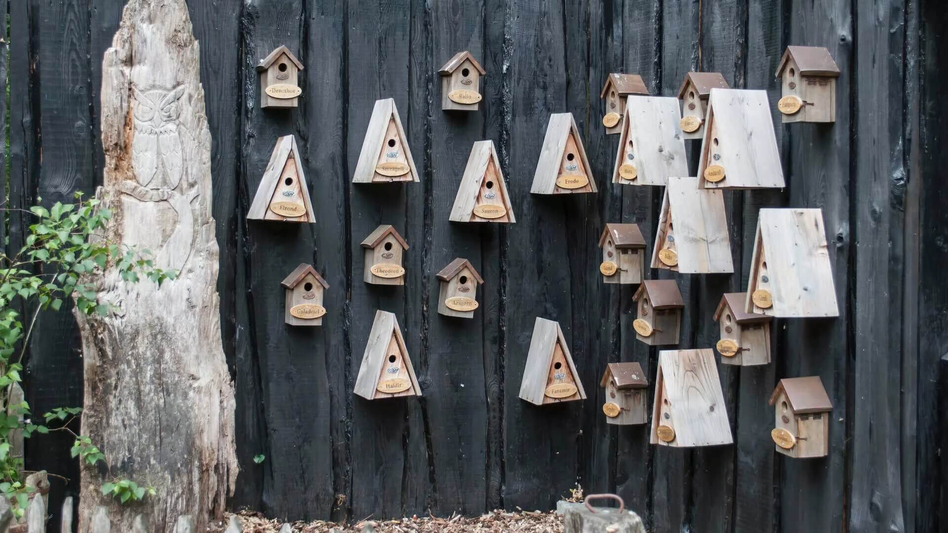 Несколько необычна. Скворечник с забором. Скворечники на стене. Стена из скворечников. Декор забора скворечниками.